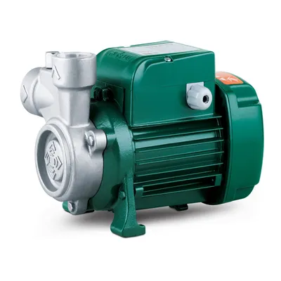 Lq100 Style Premium Stainless Steel Peripheral Water Pump
