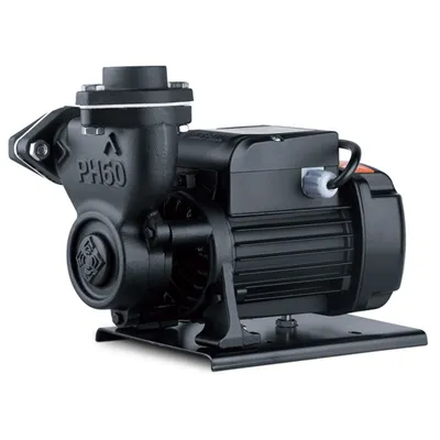 pH60t/pH70t High Temperature Thermal Oil Electric Water Pump