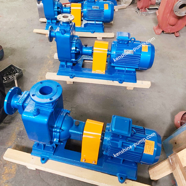 ZW Horizontal self priming sewage pump